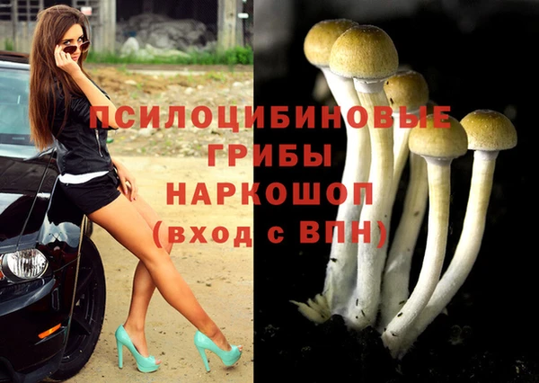 мдма Бородино