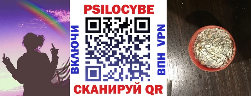 Псилоцибиновые грибы мицелий Джанкой